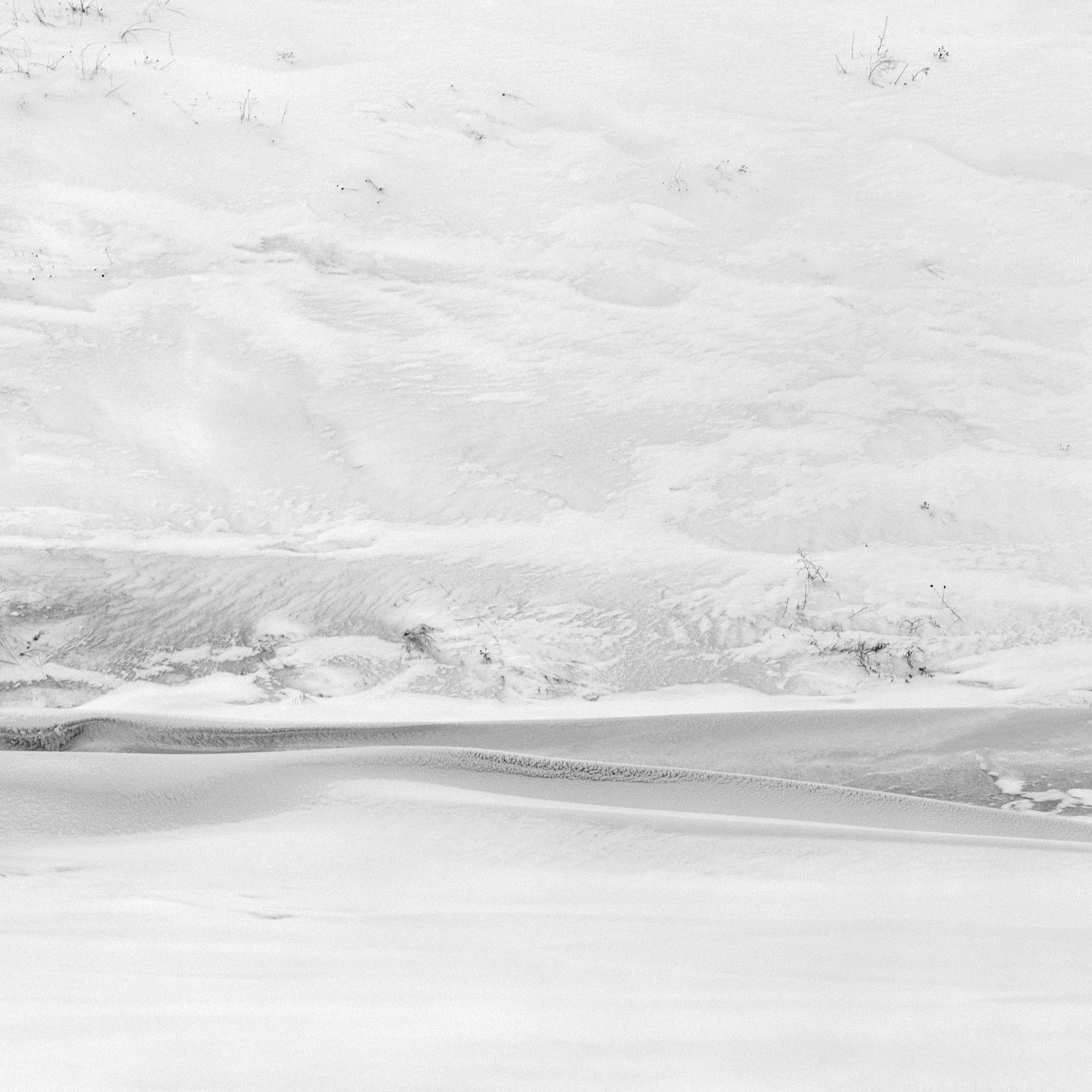 Winter of the Dead Dunes - black and white landscape photography, Limited to 20