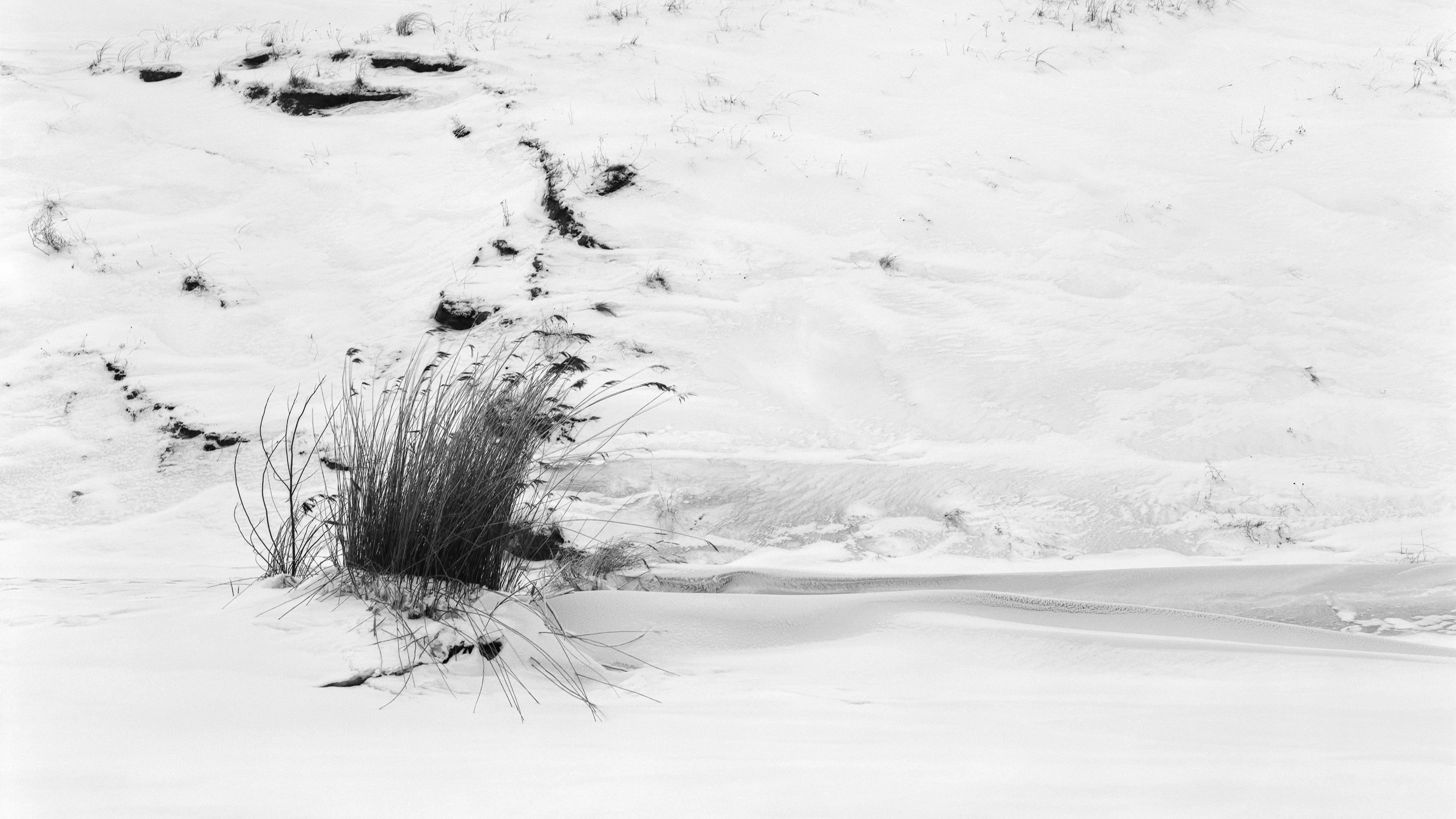 Winter of the dead dunes No.2 - monochrome landscape photography, Limited to 20