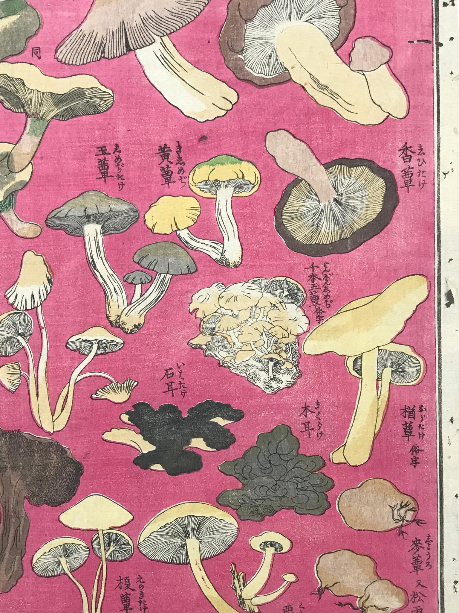 japanese mushroom art