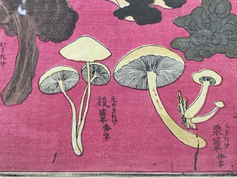 UkiyoE Japanese Woodblock Print of Mushroom Study at 1stDibs