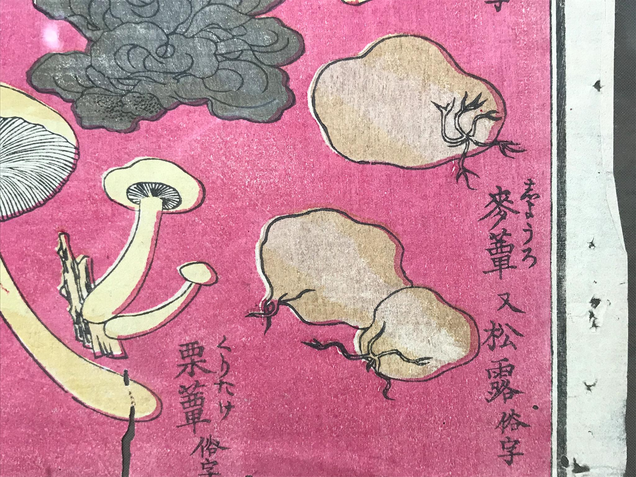 Ukiyo-E Japanese Woodblock Print of Mushroom Study In Good Condition In New York, NY