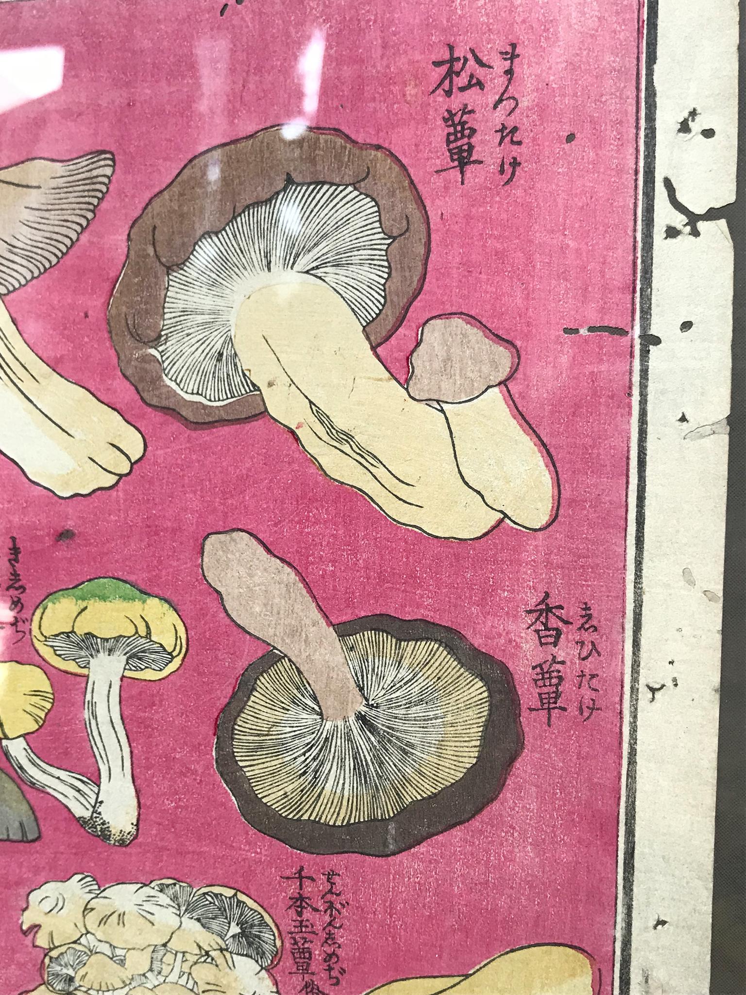 20th Century Ukiyo-E Japanese Woodblock Print of Mushroom Study
