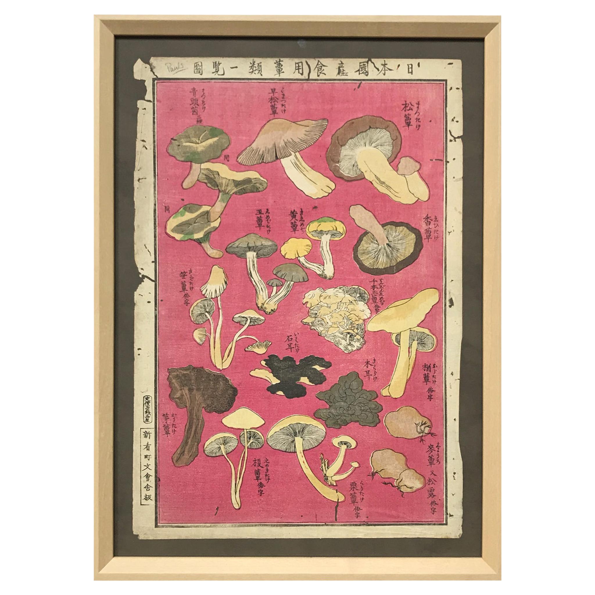 Ukiyo-E Japanese Woodblock Print of Mushroom Study