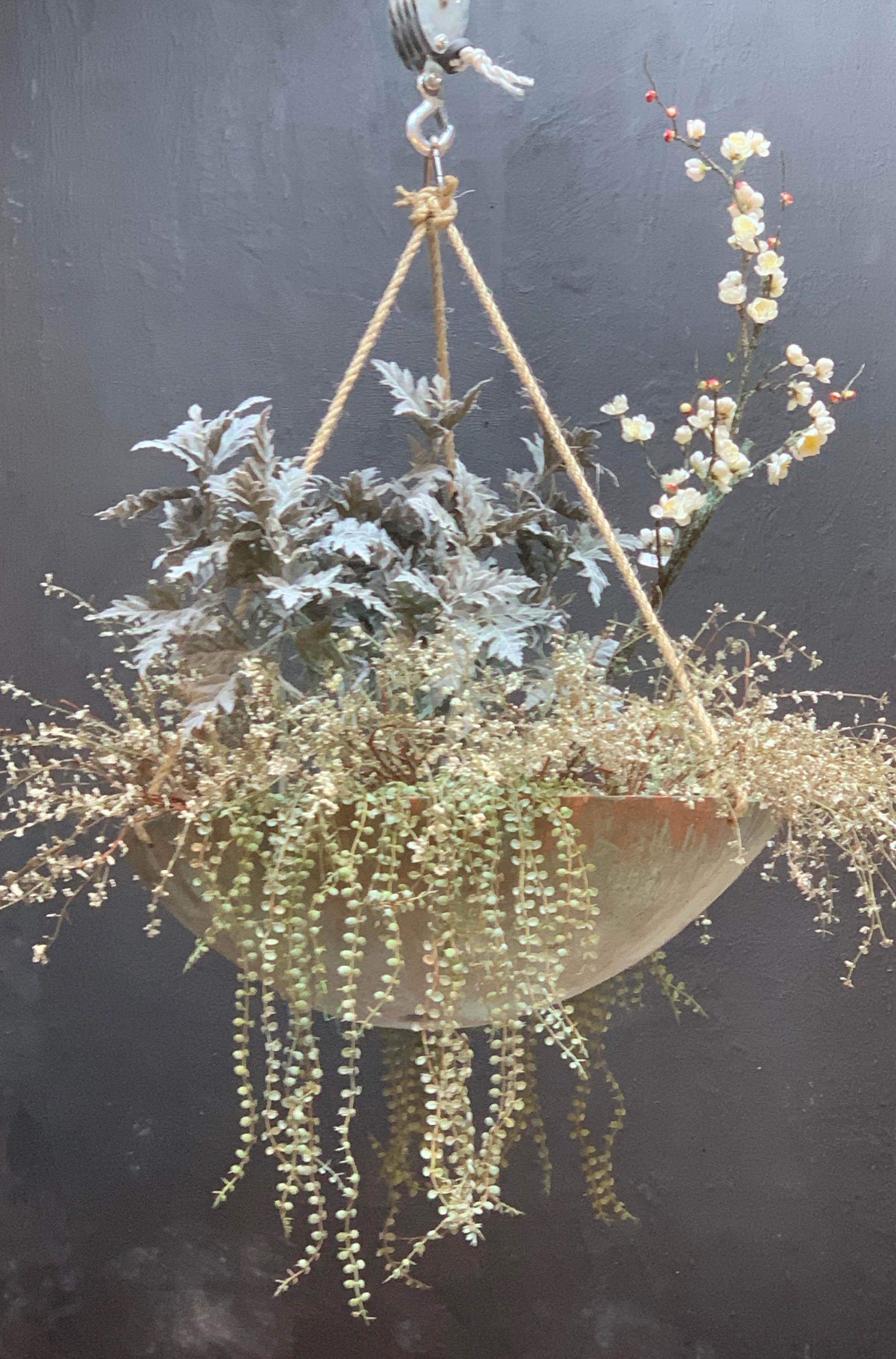 hanging plant saucer