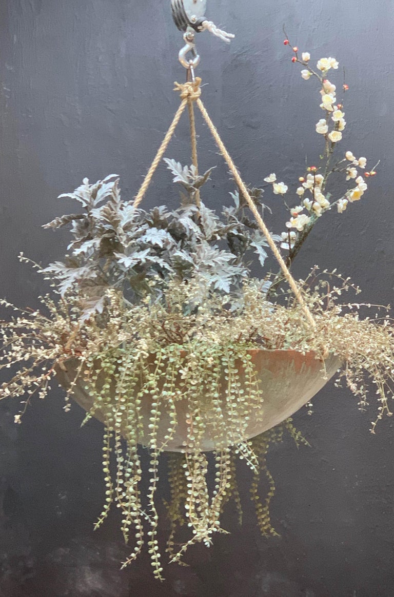 Ukiyo Saucer, Concrete Hanging Planter by OPIARY (D11.5", H5.25") For Sale  at 1stDibs | cement hanging planter, hanging planter with saucer, hanging  plant saucer
