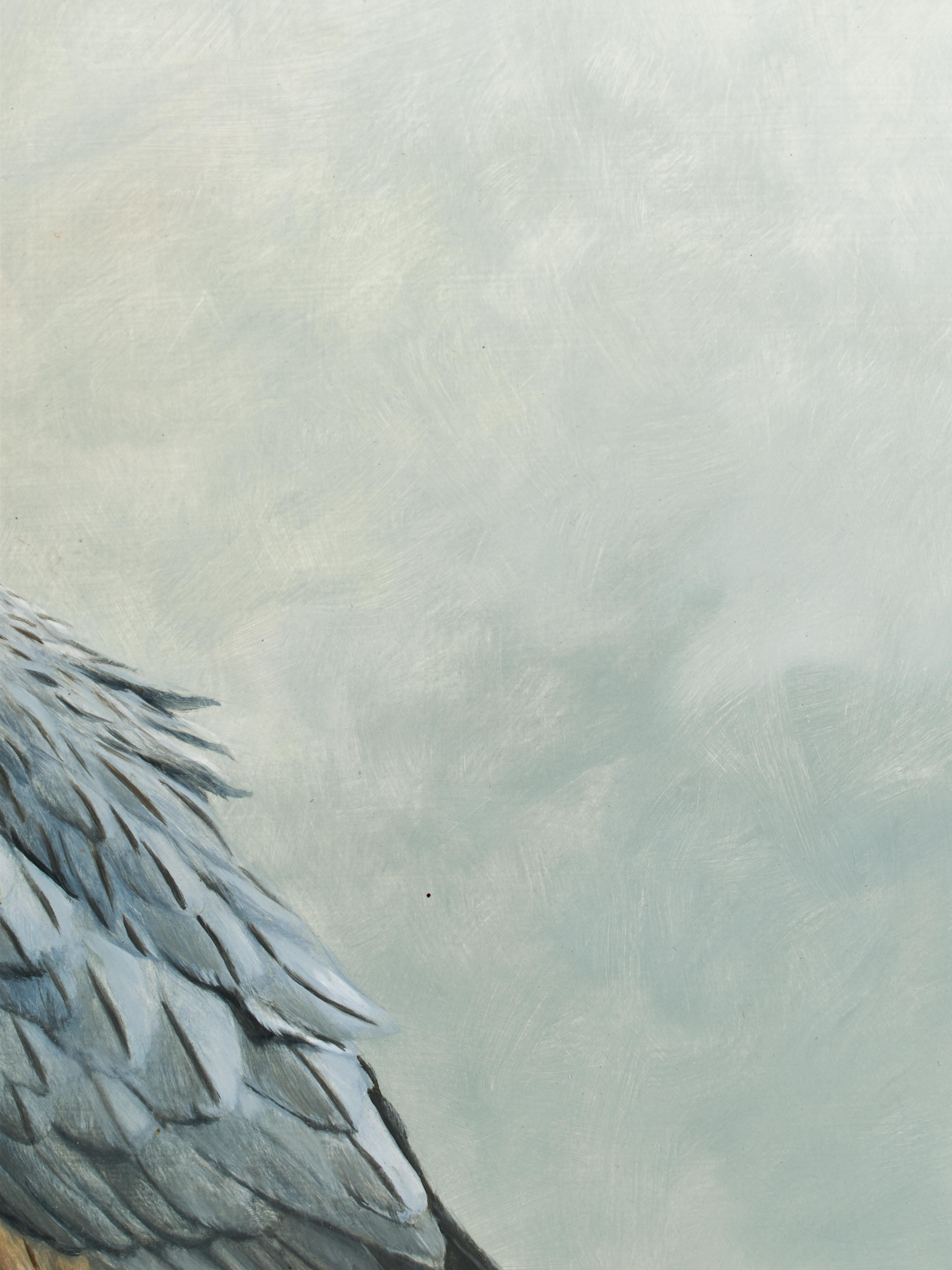 Lurking Falcon - Ulco Glimmerveen - biological illustrator - Oil paint - Dutch For Sale 1