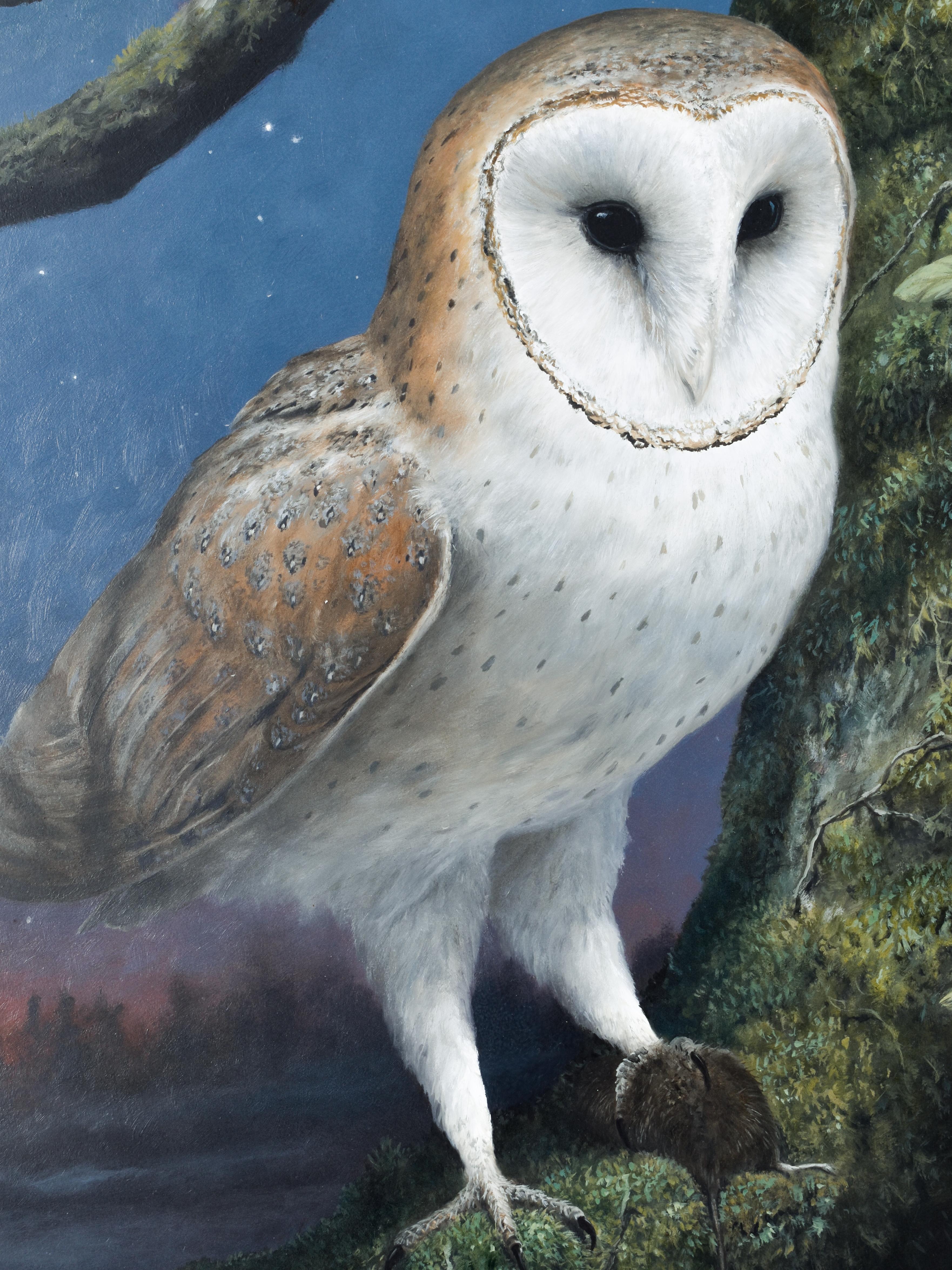 Snowy owl - Ulco Glimmerveen - biological illustrator - Oil paint  - Dutch For Sale 1
