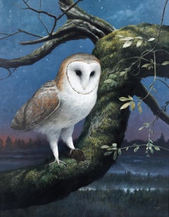 Snowy owl - Ulco Glimmerveen - biological illustrator - Oil paint  - Dutch