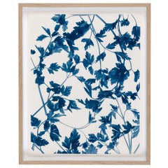 Ulrich Schmitt Fotografia Fine Art Petroselinum II Blu e Bianco
