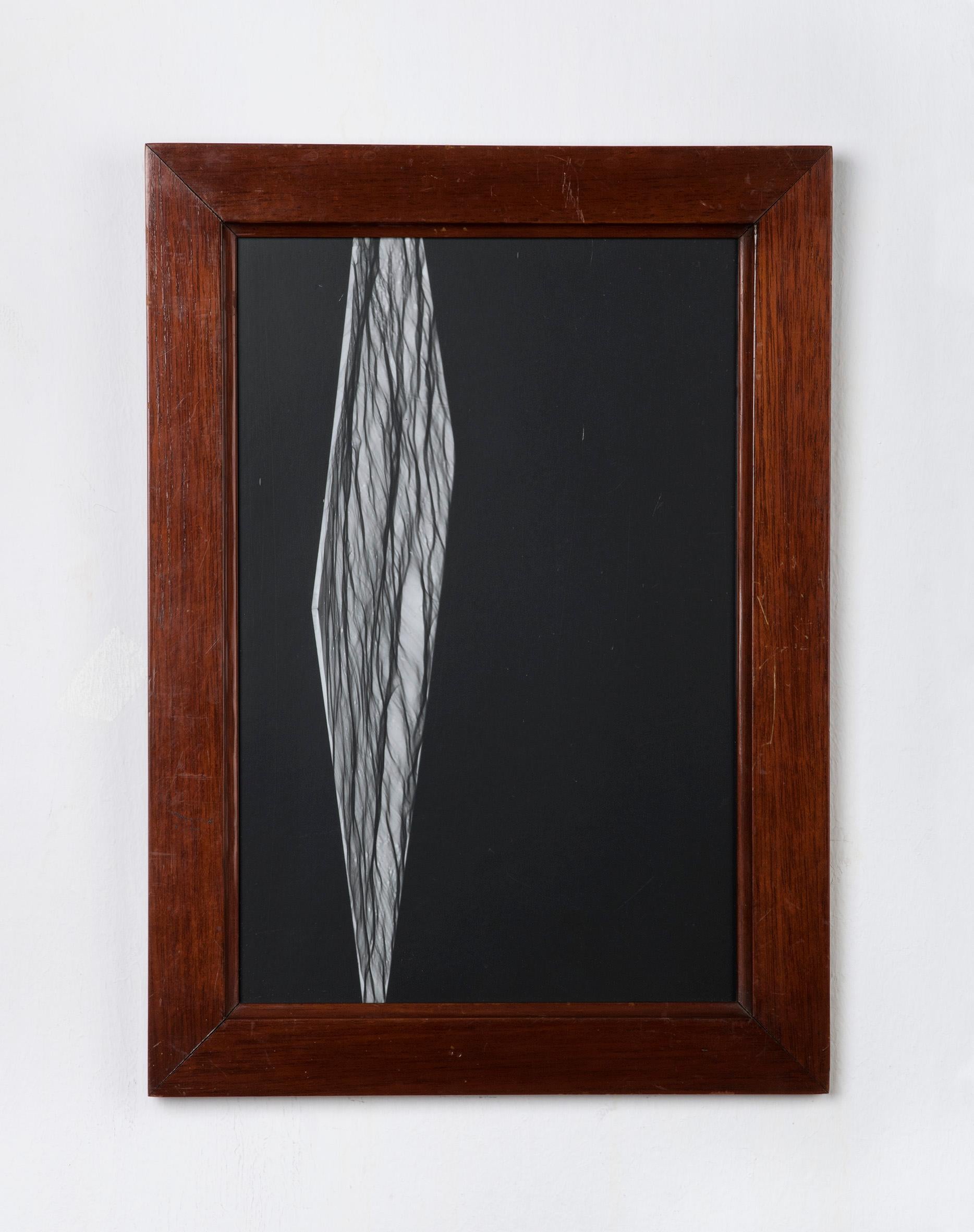 Glasschirme (Nr. 2) – Abstraktes Schwarz-Weiß-Fotogramm – Photograph von Ulrike Königshofer