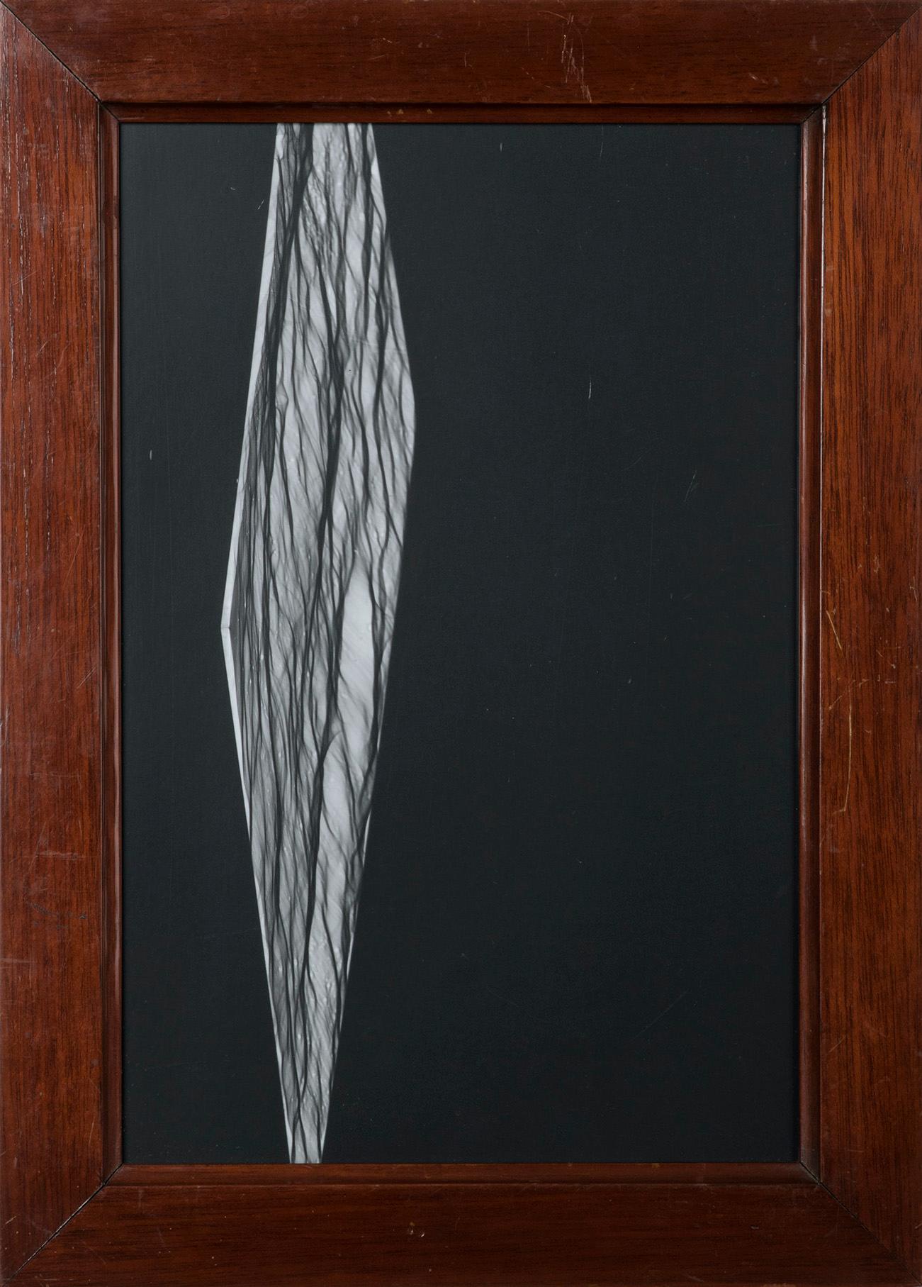 Shades of Glass (Nr. 2) - Abstraktes Schwarz-Weiß-Fotogramm