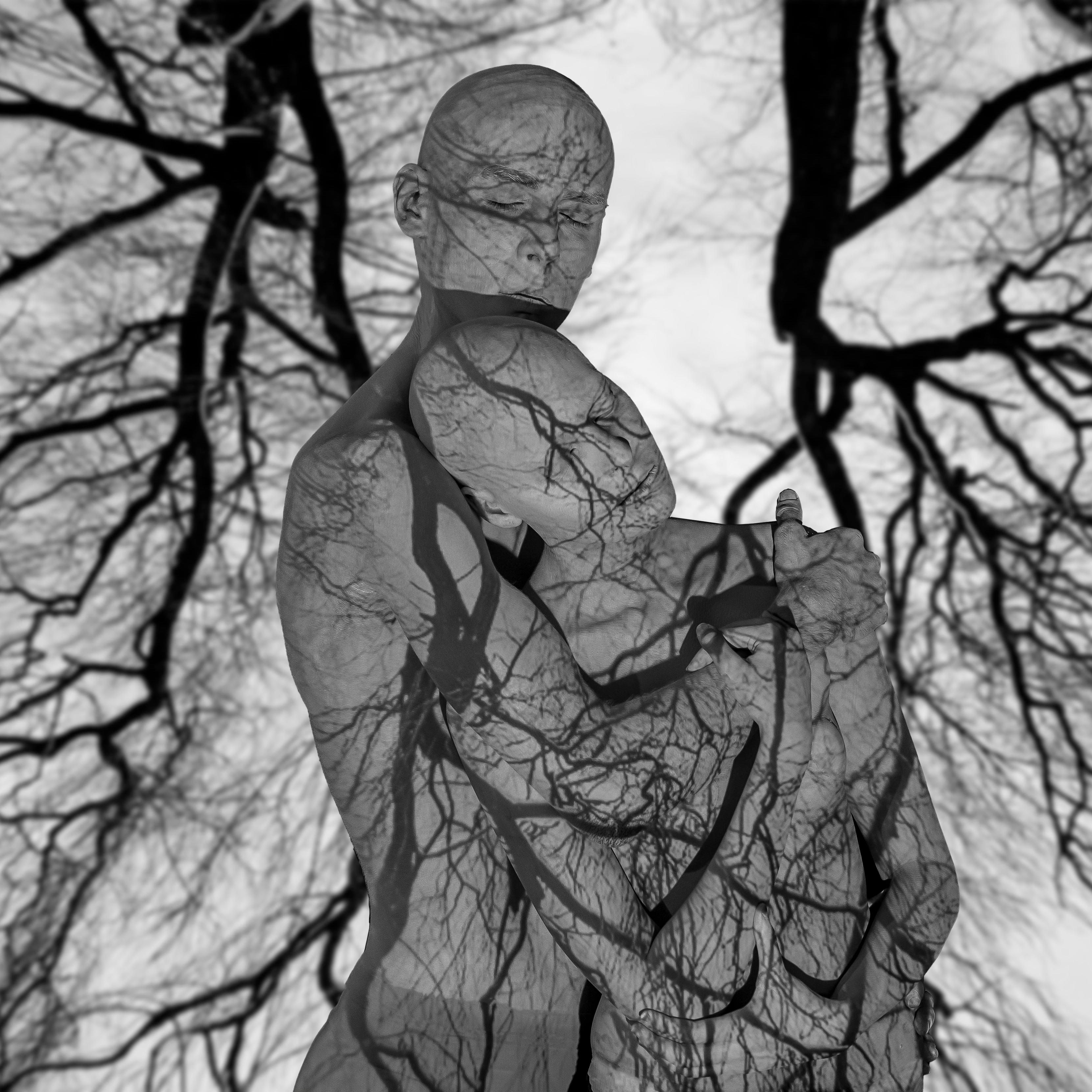 Every man is a tree - Rani Bruchstein - Photograph by Unattributed