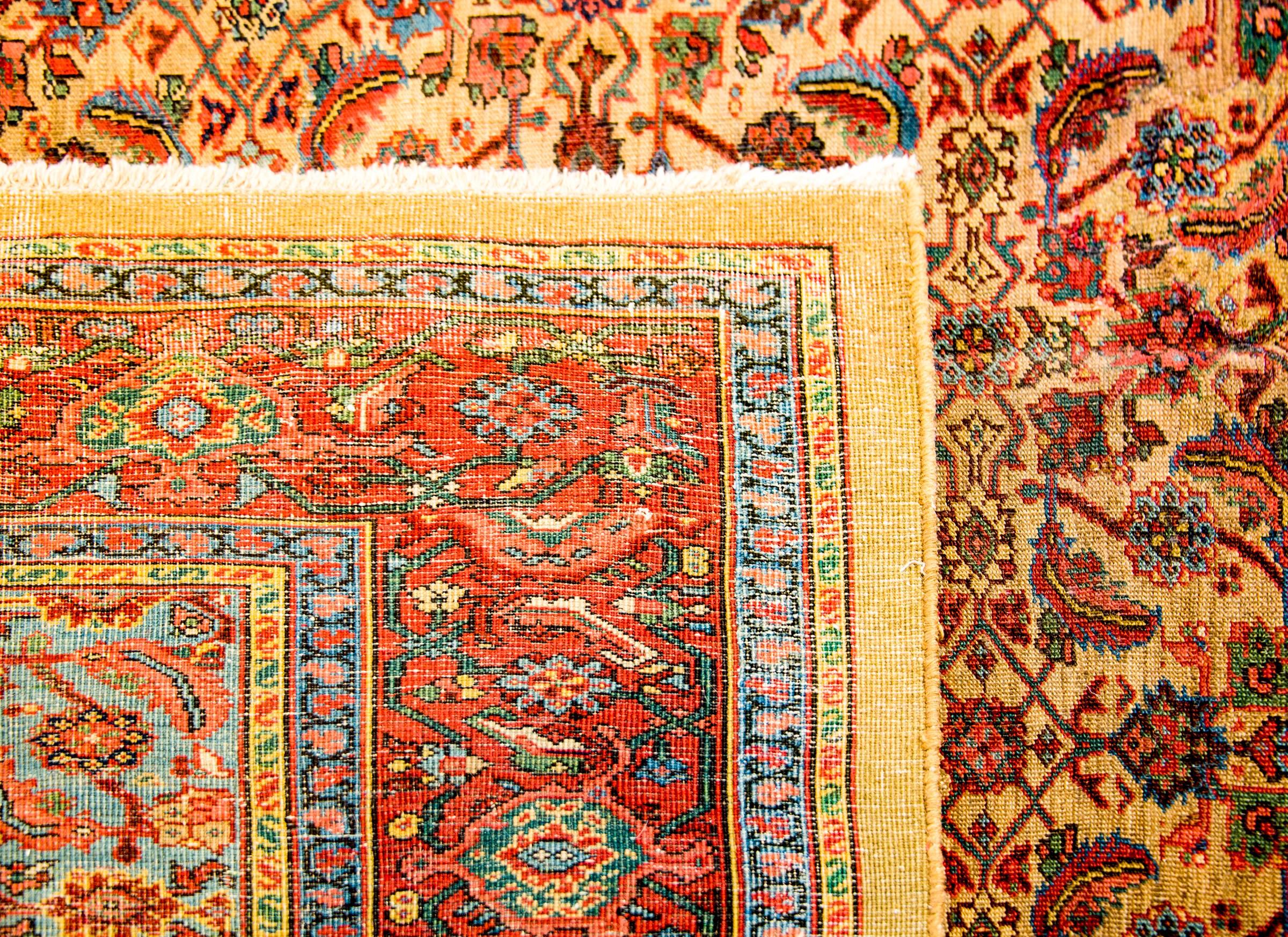 Unglaublicher Bakshaish-Teppich aus dem frühen 20. Jahrhundert (Frühes 20. Jahrhundert) im Angebot