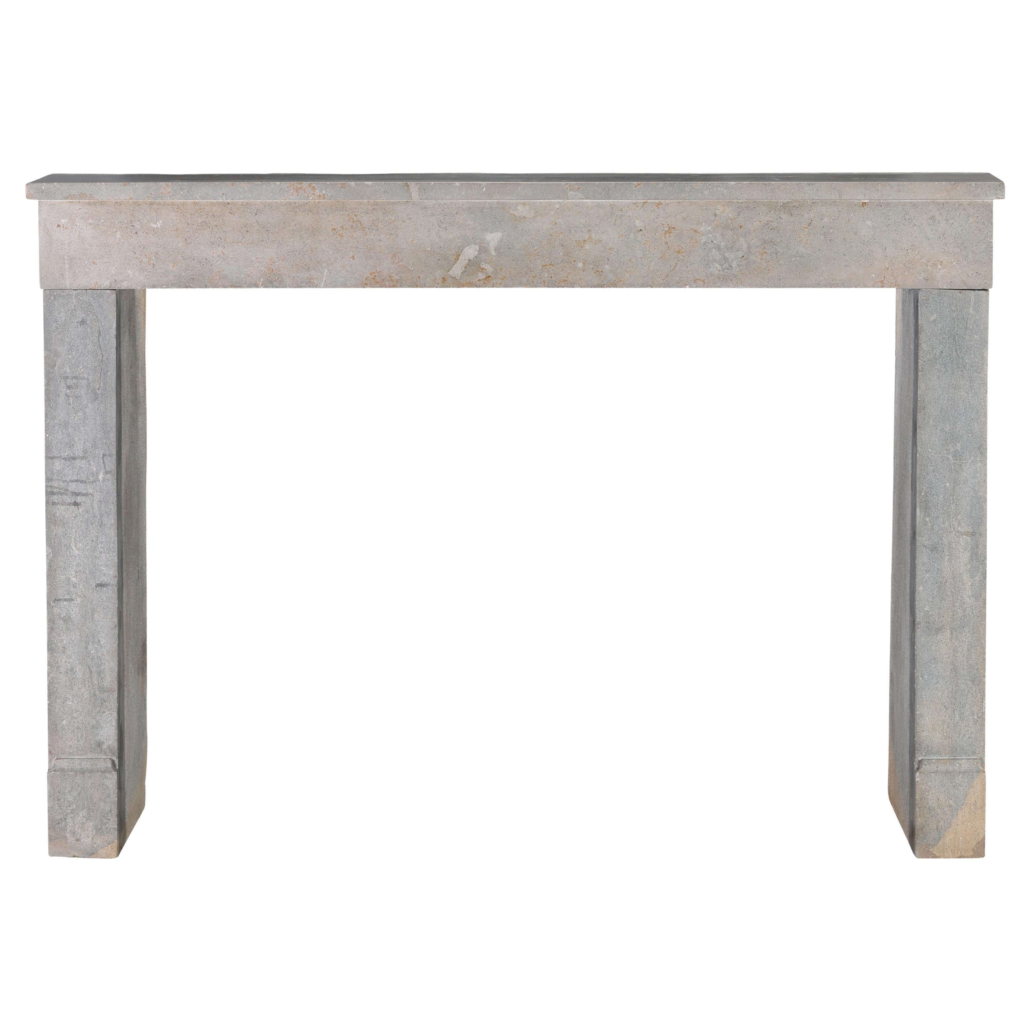 Undefined Grey Stone Antique Fireplace From France For Timeless Interior Design (Cheminée ancienne en pierre grise de France pour une décoration intérieure intemporelle)