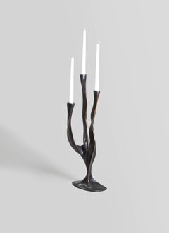 Candelabro in bronzo Under The Banyan Small in ottone, Viya by Vikram Goyal