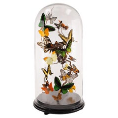 Plus de meubles et pièces de collection