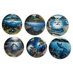 Underwater Paradise, 6 Porzellanteller von Robert Lyn Nelson