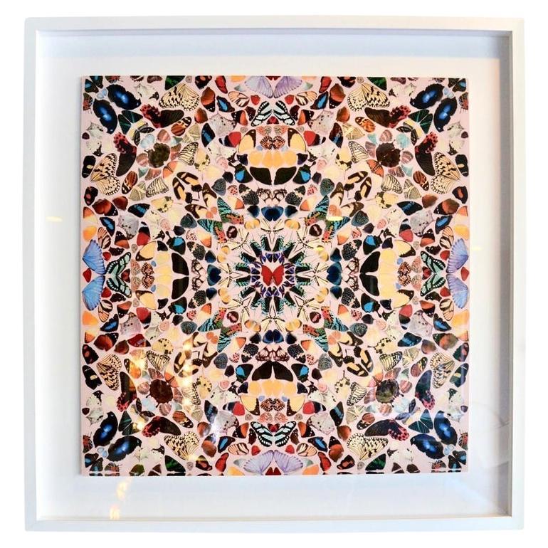 Unframed Damien Hirst Butterfly Kaleidoscope Wallpaper, 2004 UK For Sale