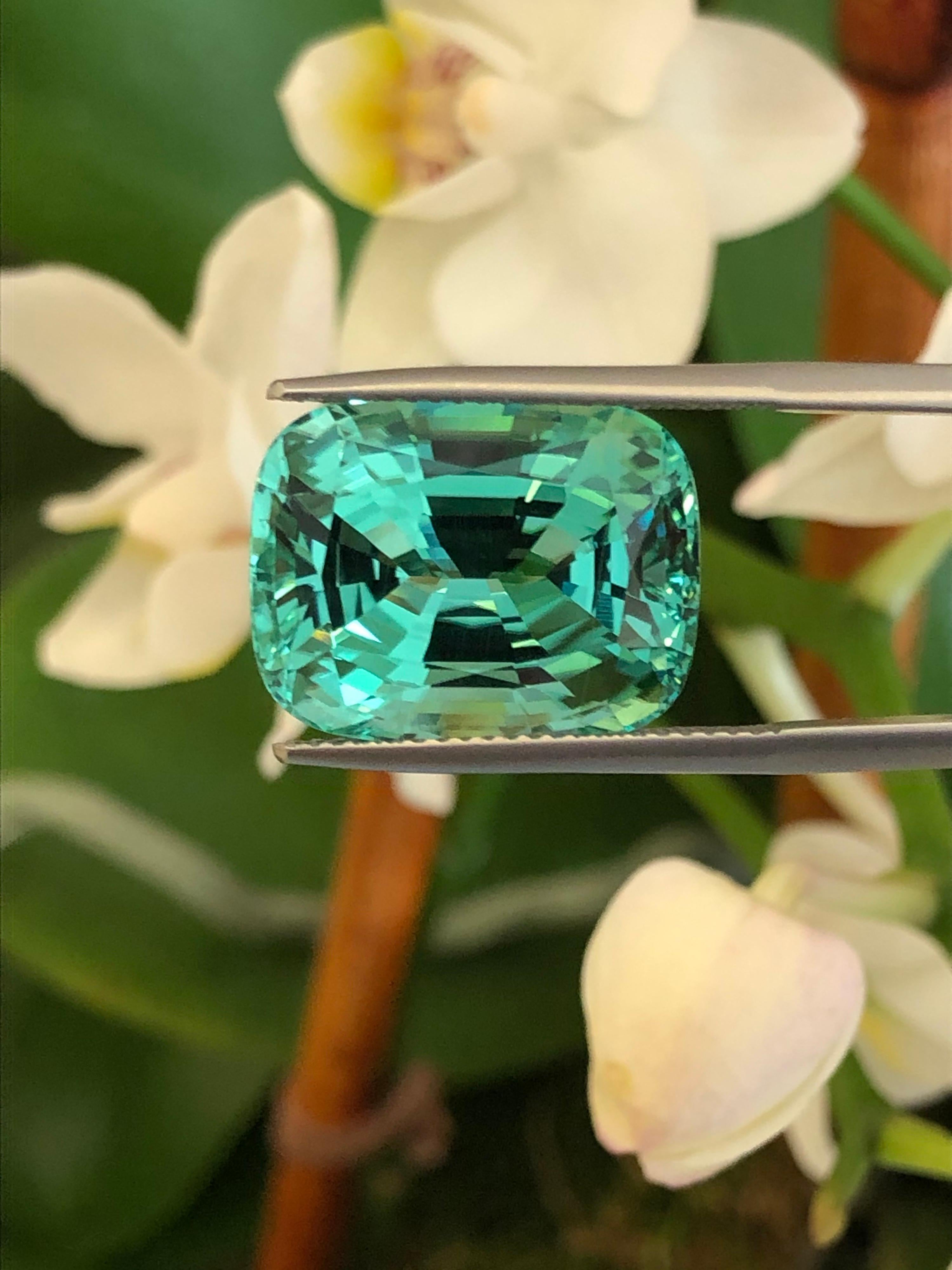 Legendary unheated Paraiba Tourmaline cushion cut gem, weighing a total 17.14 carats, offered loose to a world-class gemstone collector.
Paraiba Tourmaline has established itself as one of the most sought after gems in the world, enticing global gem