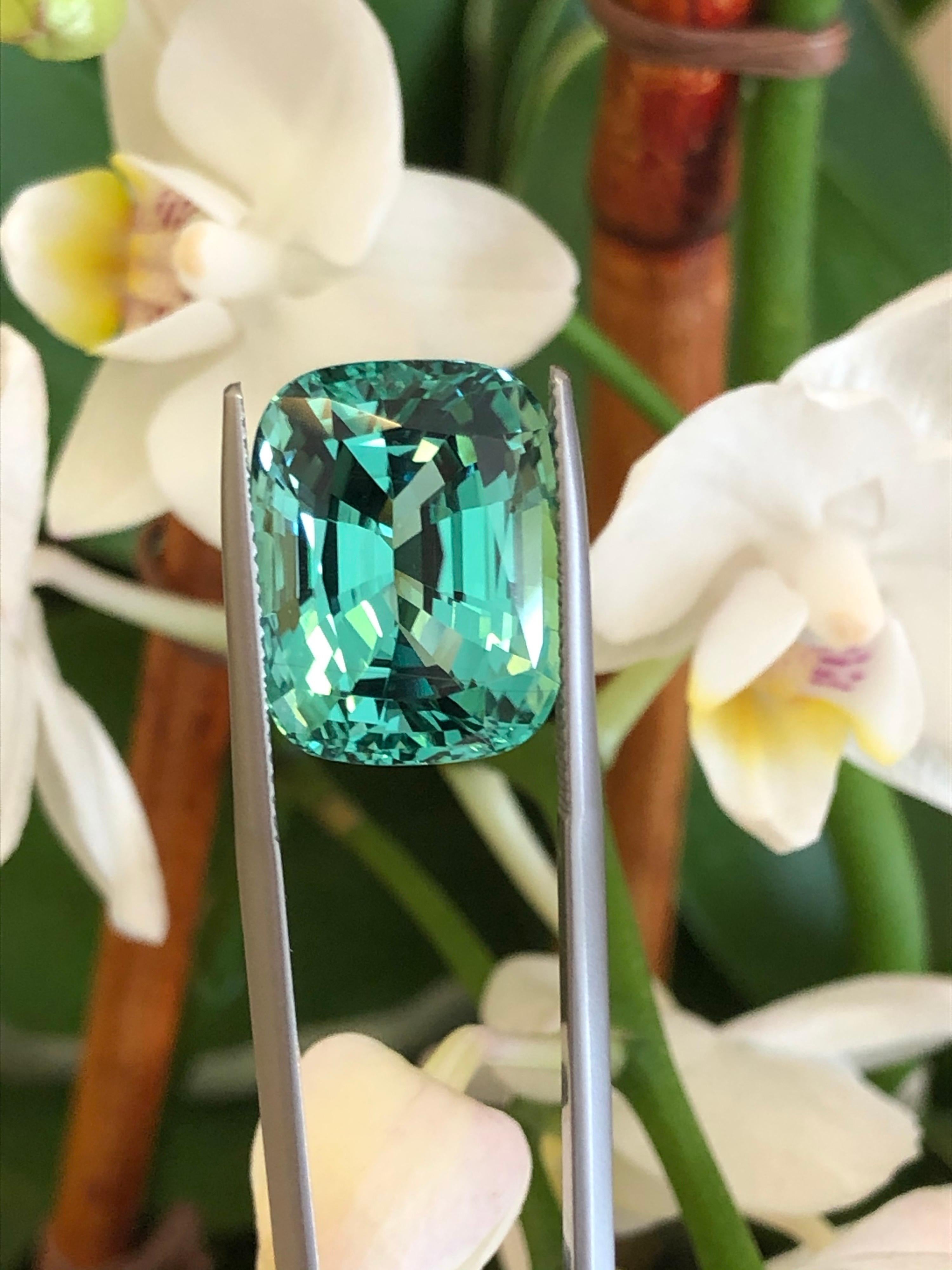 Unheated Paraiba Tourmaline Ring Gem 17.14 Carat No Heat Loose Gemstone GIA In New Condition In Beverly Hills, CA