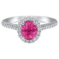 Unerhitzter rosa Saphir Stein 1,56 Karat in Platinring mit Diamanten /GIA-Bericht