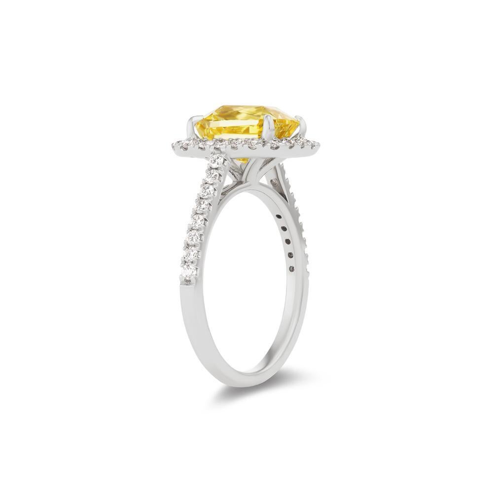 14k White Gold 3.56ct Unheated Yellow Sapphire Ring with .56ct Diamonds 

This 3.00 ct Unheated Yellow Sapphire is the hero in this ring, followed
by a halo setting of polished white diamonds
Item: # 04008
Metal: 14k White Gold
Color Weight: 3.56