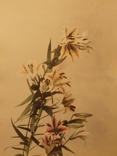 Tigerlilie, ca. 1880er-Jahre