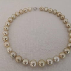 Unique Natural Champagne Color South Sea Pearl Necklace