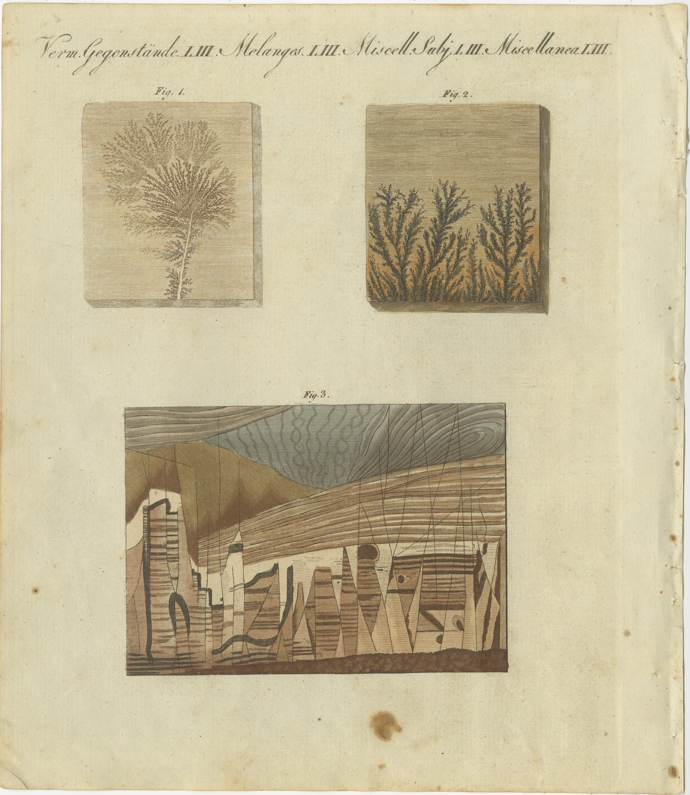 Title: Unique 1805 Engraving of Fossilized Patterns and Geological Layers from Bertuch  

Description:  
This intriguing hand-colored engraving originates from Friedrich Justin Bertuch’s *Porte-Feuille des Enfants* (Children's Portfolio), published