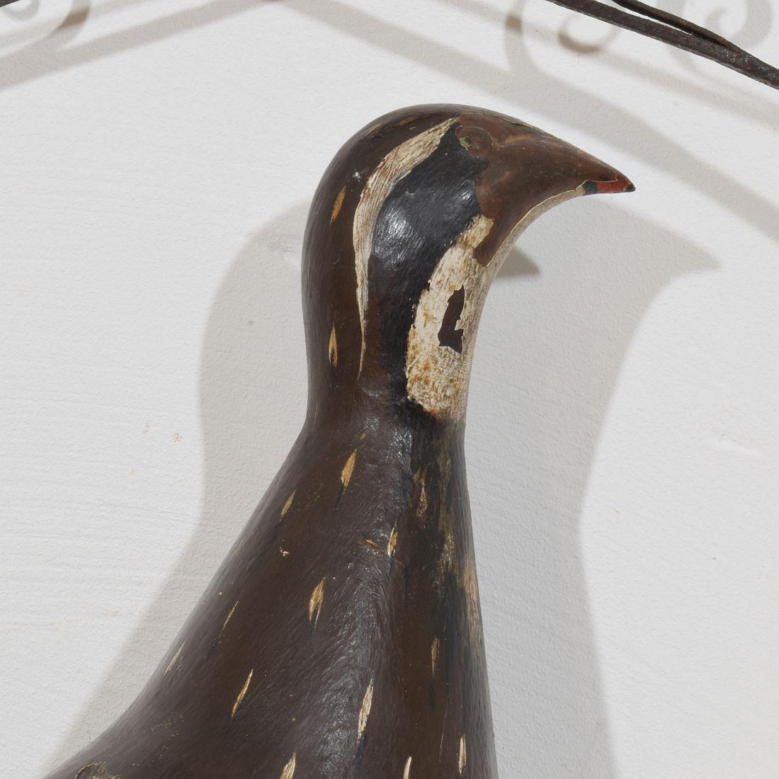 Unique 19th Century French Shop Sign with a Grouse For Sale 6