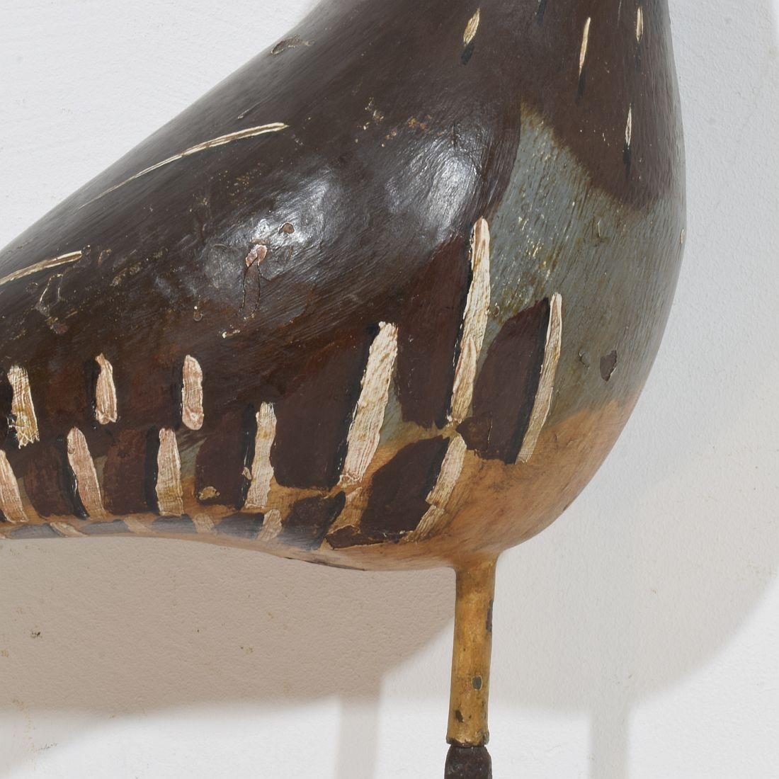 Unique 19th Century French Shop Sign with a Grouse For Sale 7