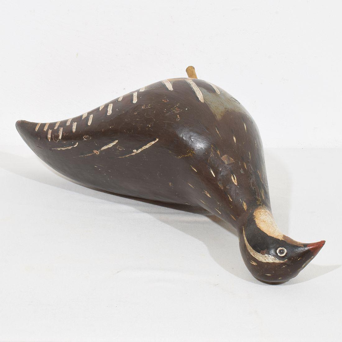 Unique 19th Century French Shop Sign with a Grouse For Sale 12