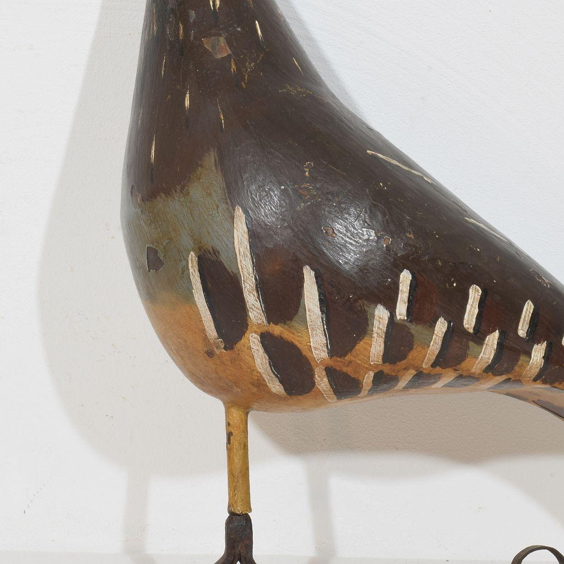 Unique 19th Century French Shop Sign with a Grouse For Sale 3