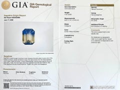 Unique 4.02ct GIA Certified Ceylon Sapphire Bi Colour Untreated Octagon Rare Gem