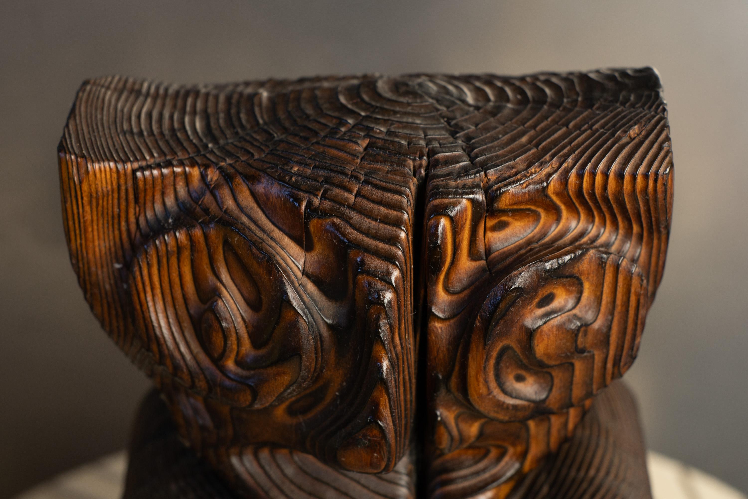 Unico gufo astratto in legno di cedro intagliato e bruciato, scultura animale Tiki di Witco in vendita 5