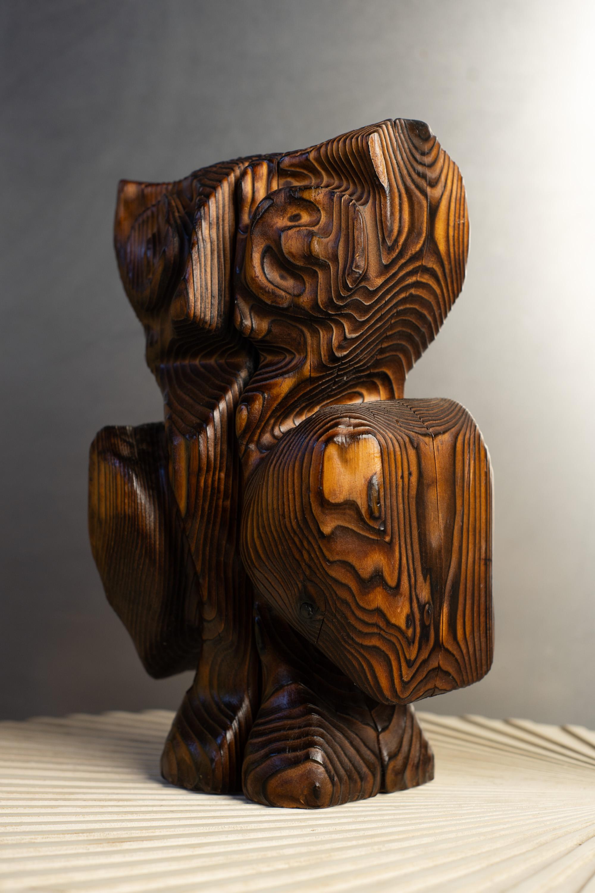 Mid-Century moderno Unico gufo astratto in legno di cedro intagliato e bruciato, scultura animale Tiki di Witco in vendita