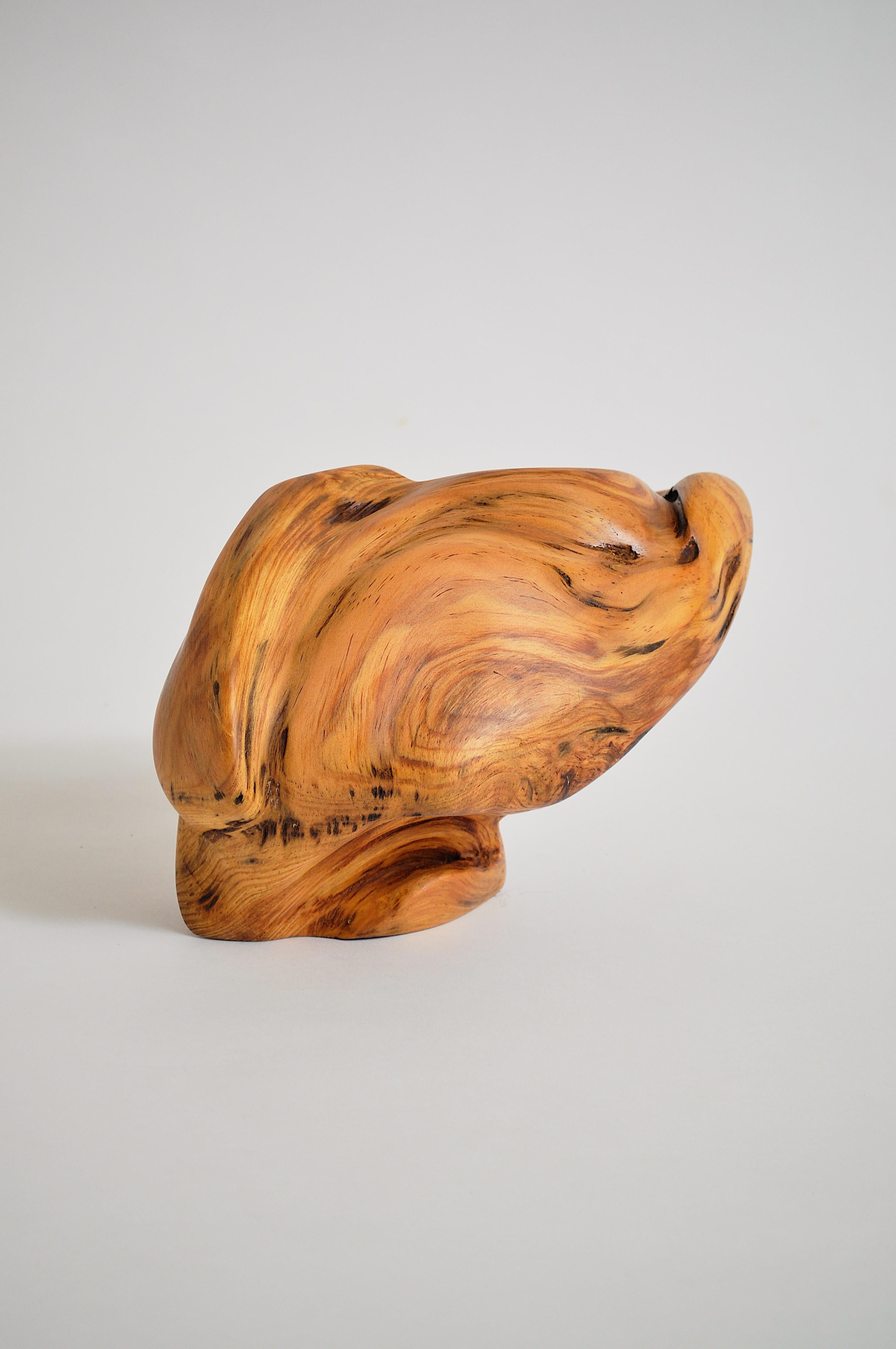 Polished Unique Aleppo Pine Sculpture Signed by Jörg Pietschmann