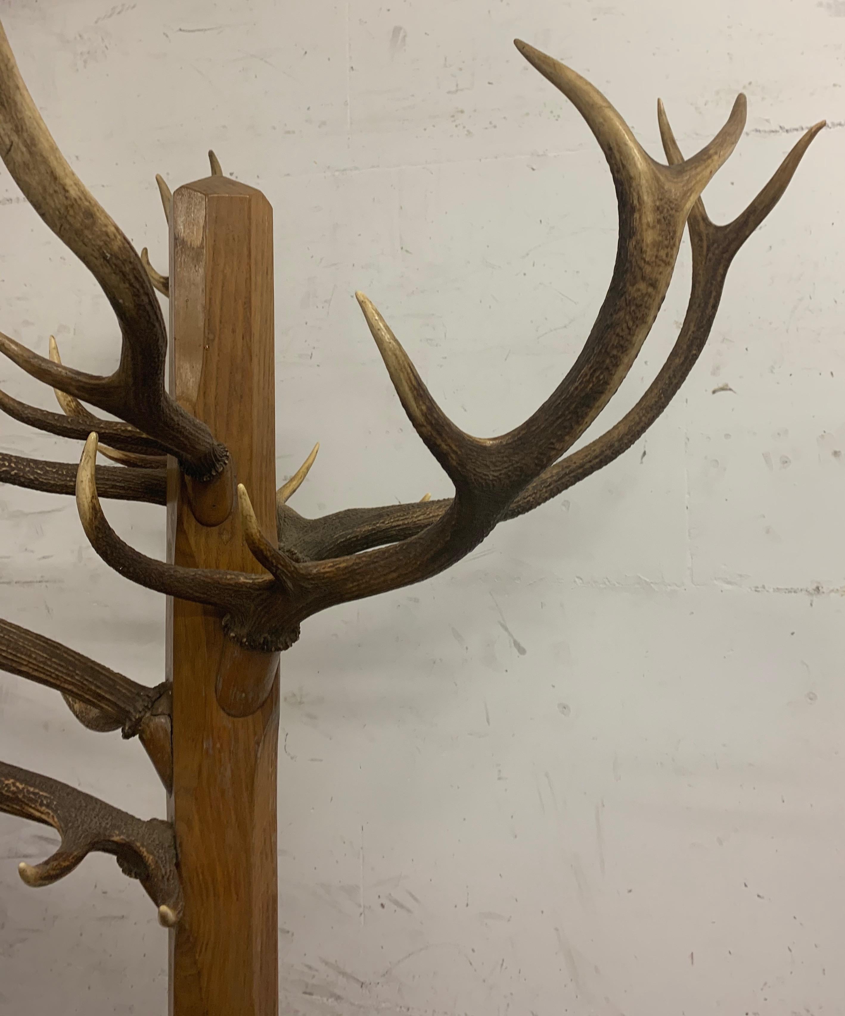 Unique and Antique Oak and Real Antlers Entry Hall Floor Coat Rack and Hat Stand 1