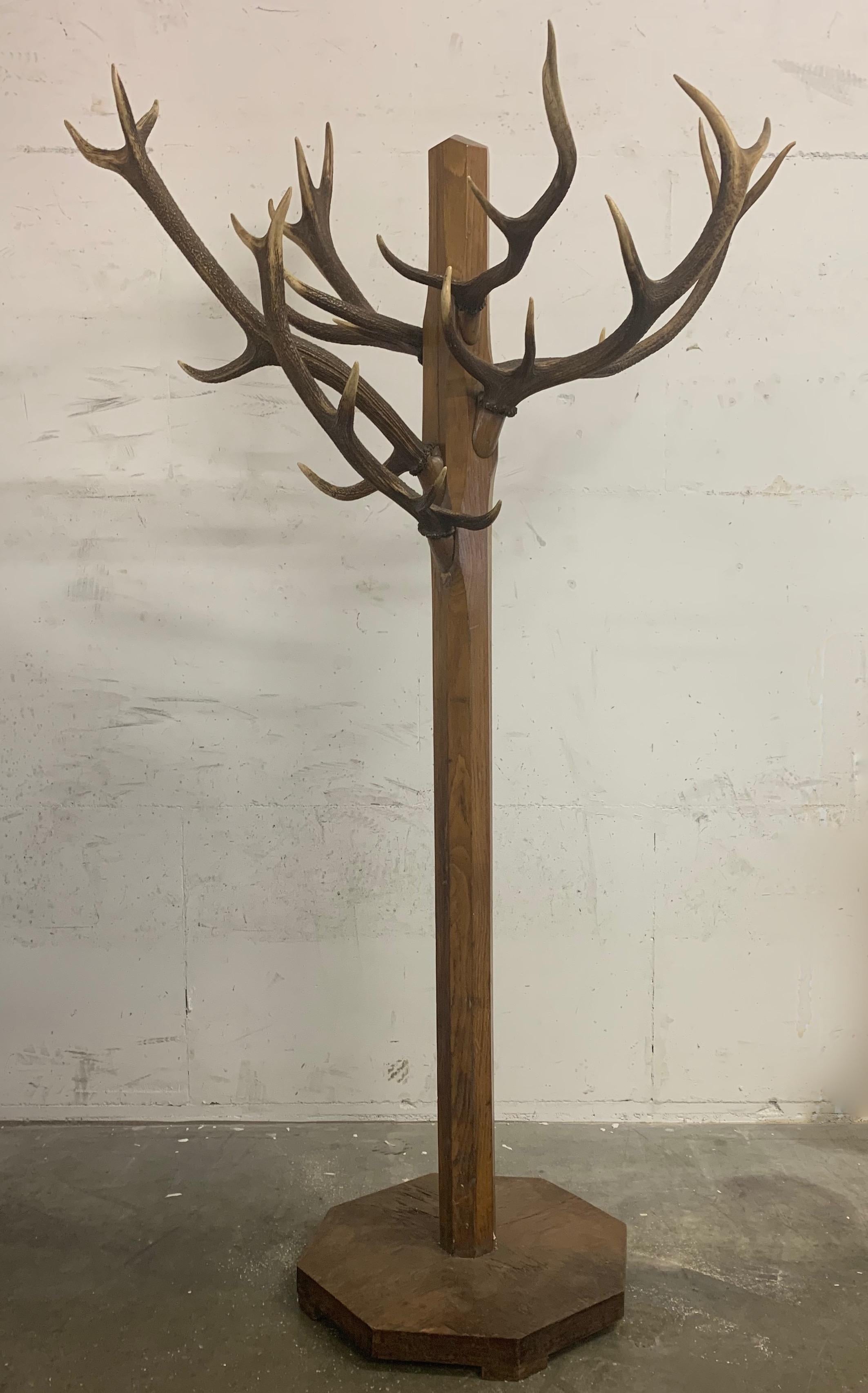 Unique and Antique Oak and Real Antlers Entry Hall Floor Coat Rack and Hat Stand 2