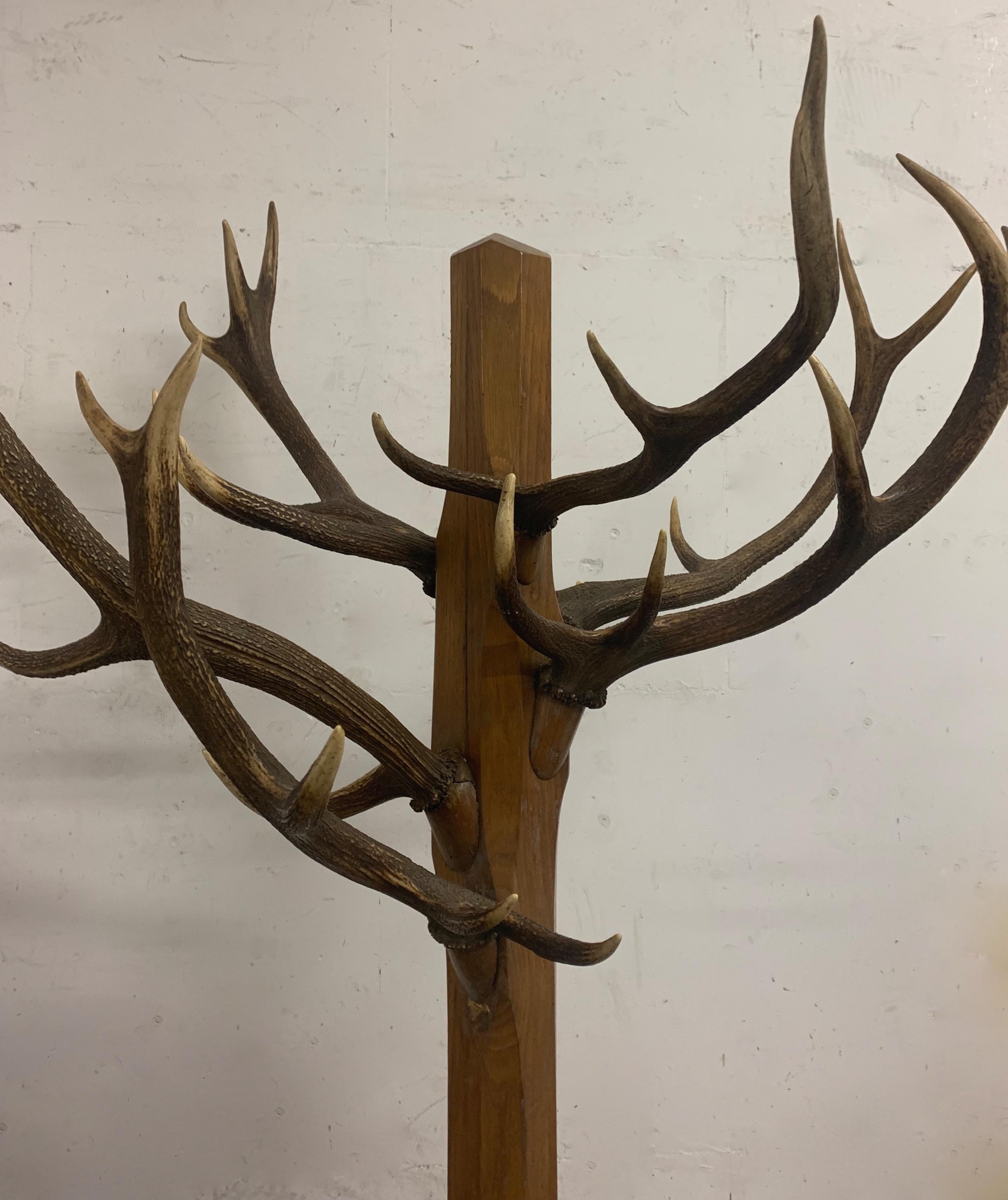 Unique and Antique Oak and Real Antlers Entry Hall Floor Coat Rack and Hat Stand 3