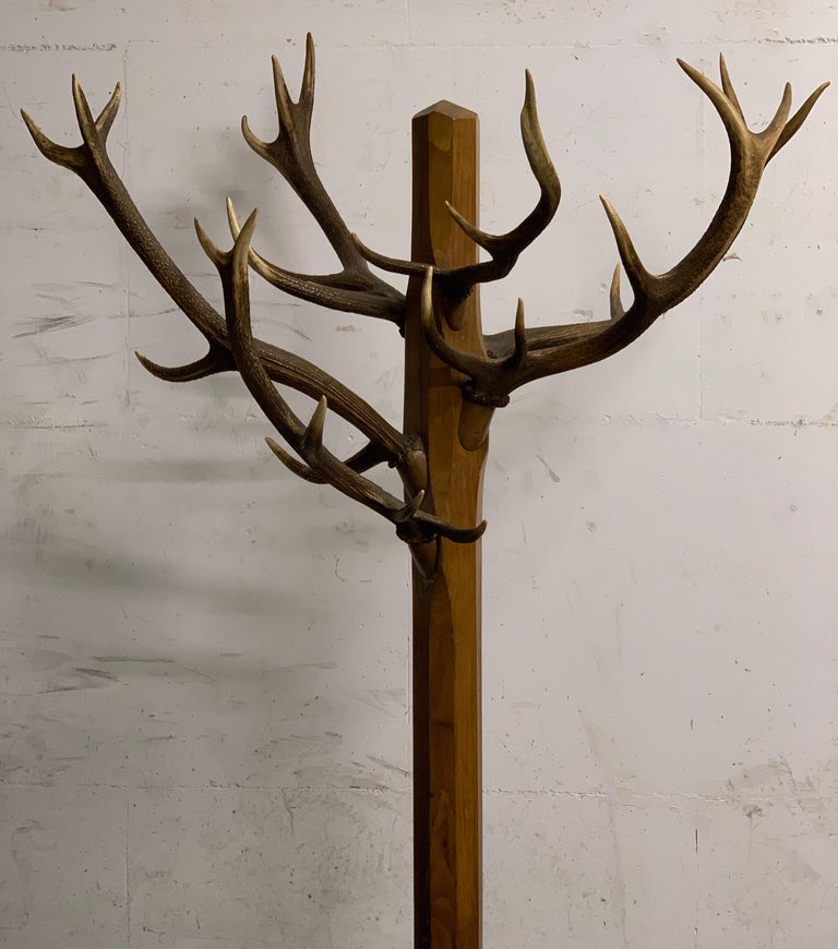 Free Standing Antler Coat Rack Tradingbasis Free standing antler coat rack tradingbasis