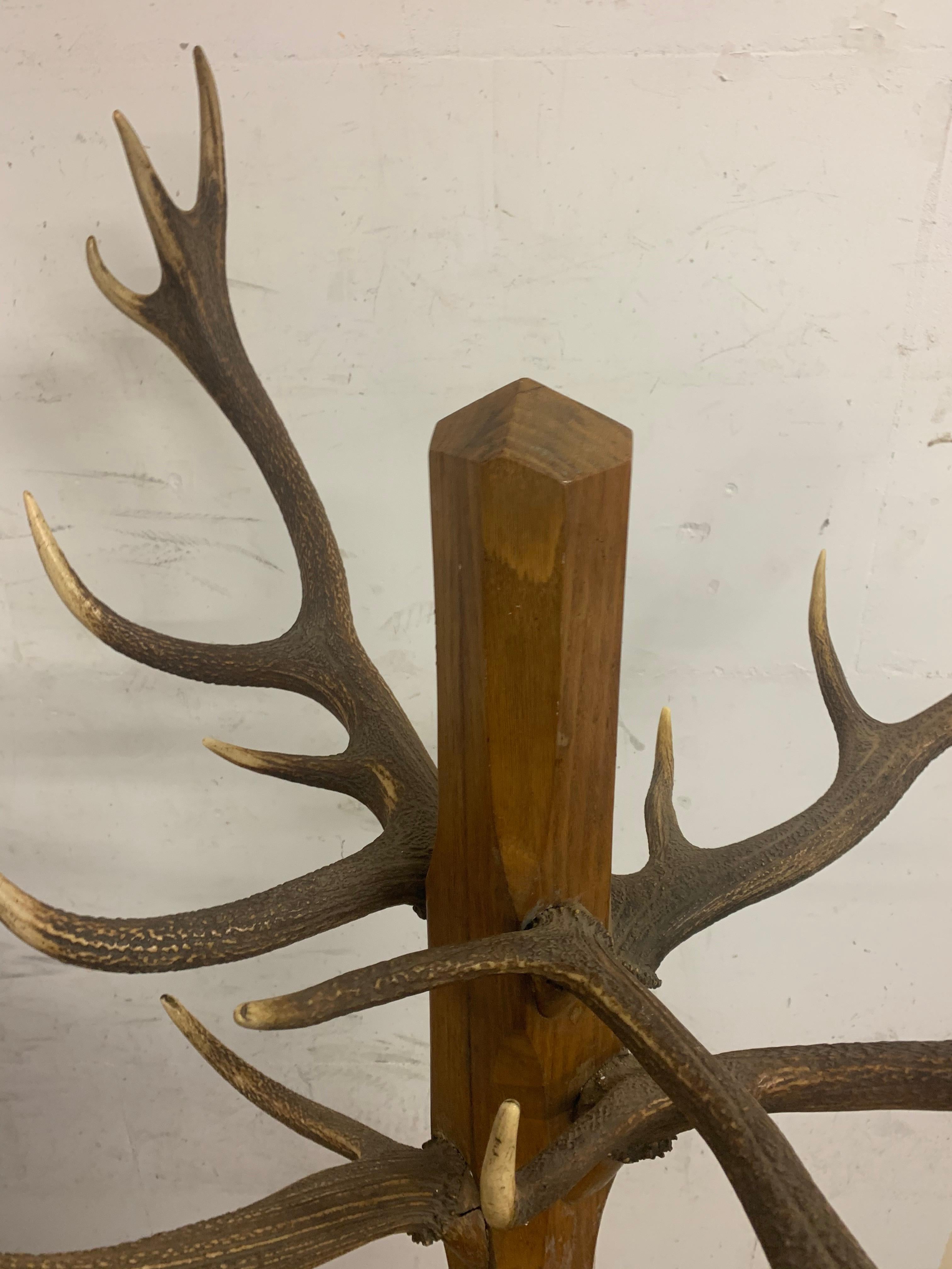 German Unique and Antique Oak and Real Antlers Entry Hall Floor Coat Rack and Hat Stand