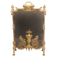 Antique Unique and Great Quality Late 19th Century Gilt Bronze and Mesh Firescreen