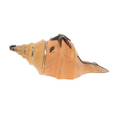 Seashell with Silver Inlay