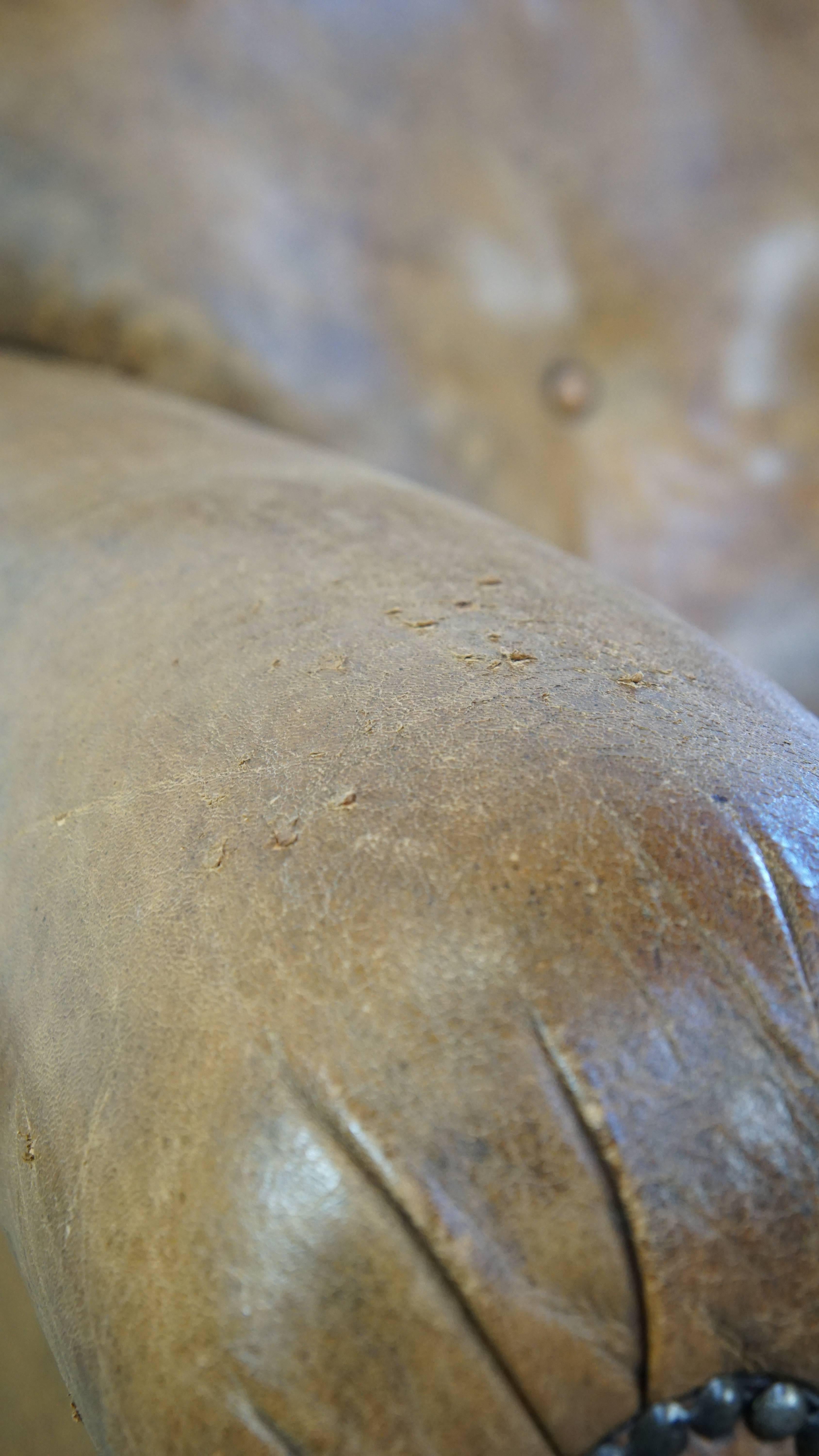 Unique antique armchair made of sheepskin with beautiful, elegant legs For Sale 6