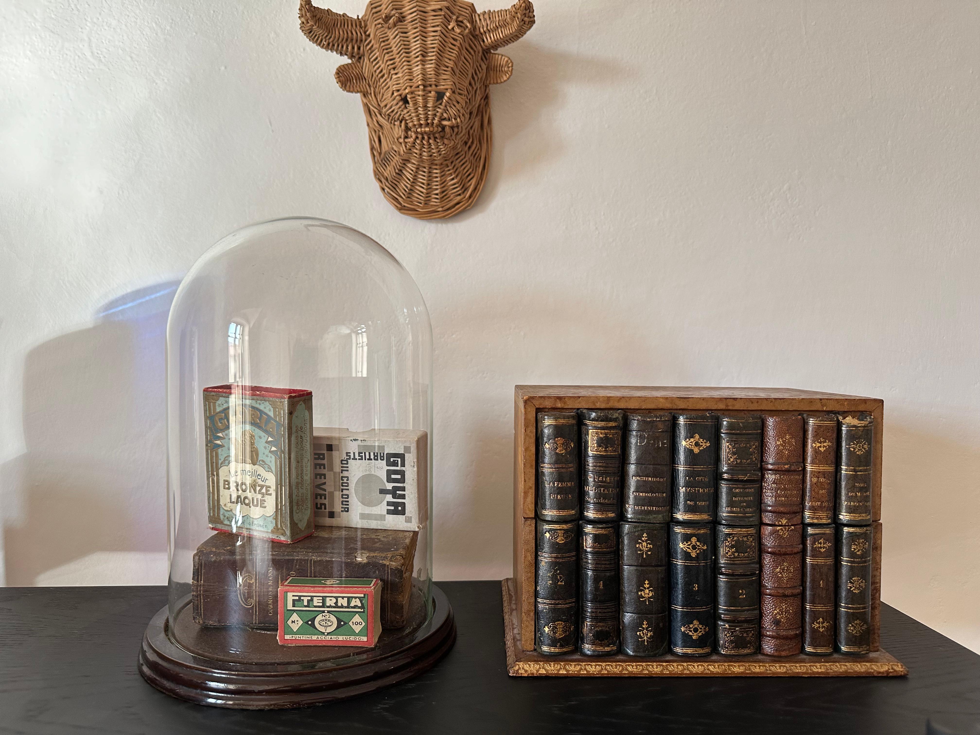 Boîte à lettres unique pour livres anciens - reliure à dos de cuir du 19e siècle en vente 8