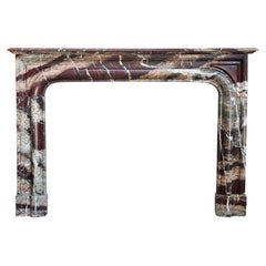 Antique Fireplace Mantle 1860 in Style of Louis XIV