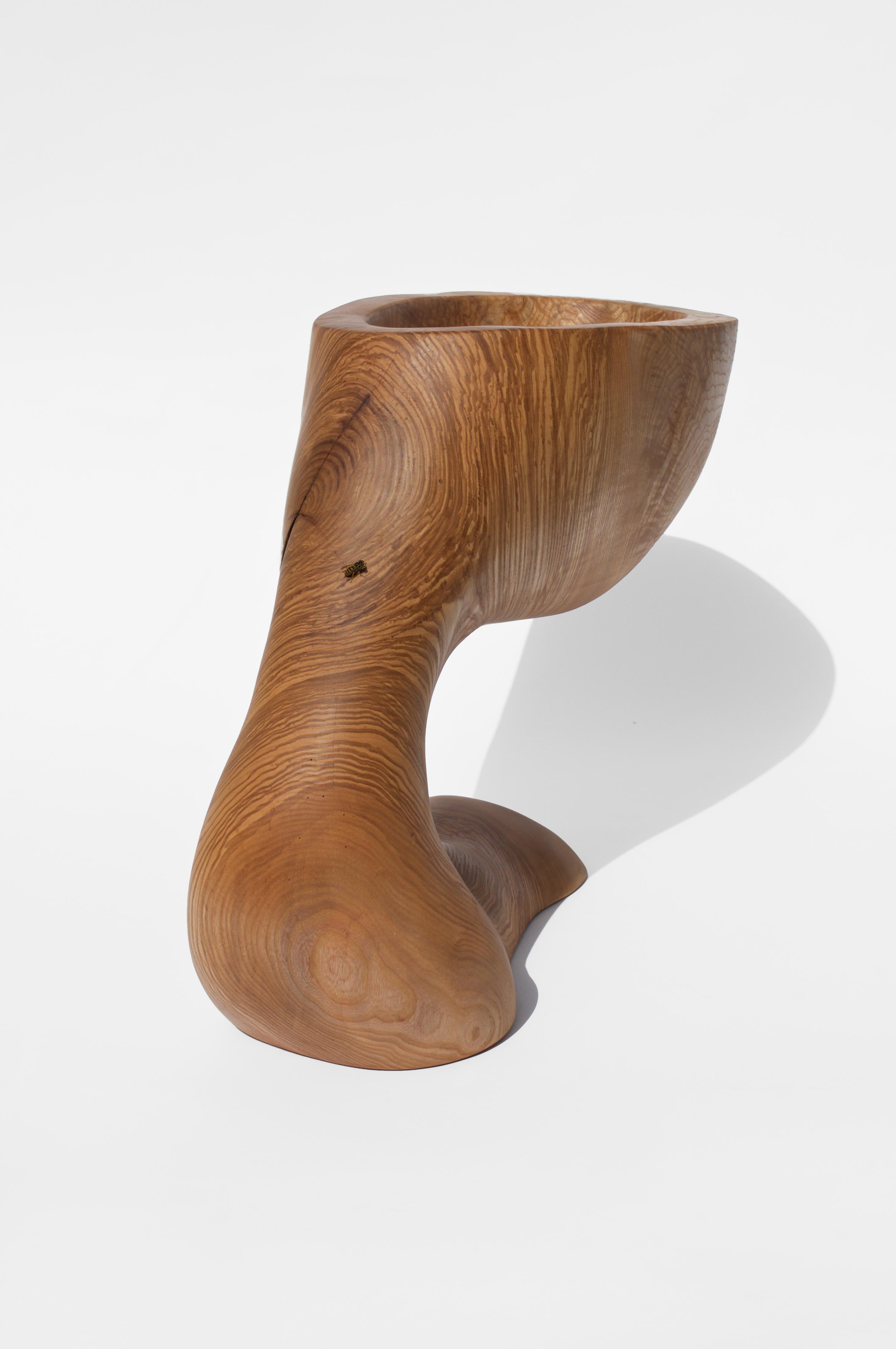 Vaso unico scolpito da Jörg Pietschmann
Materiali: frassino lucidato, finitura ad olio
Dimensioni: H. 43 x L. 60 x P. 29 cm

Nelle sculture di Pietschmann, gli alberi che per secoli hanno fatto parte di un paesaggio e si sono fondati su forze