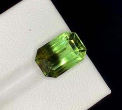 Piedra Preciosa Única Peridoto Bicolor: Piedra natal de agosto de Pakistán 6.080 TC