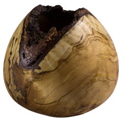 Unique Birch Bowl by Vlad Droz